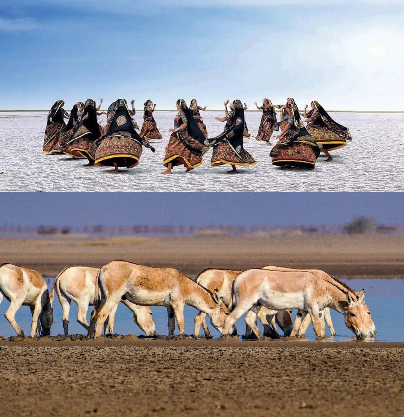 Little Rann Of Kutch With Great Rann Of Kutch Tour Package